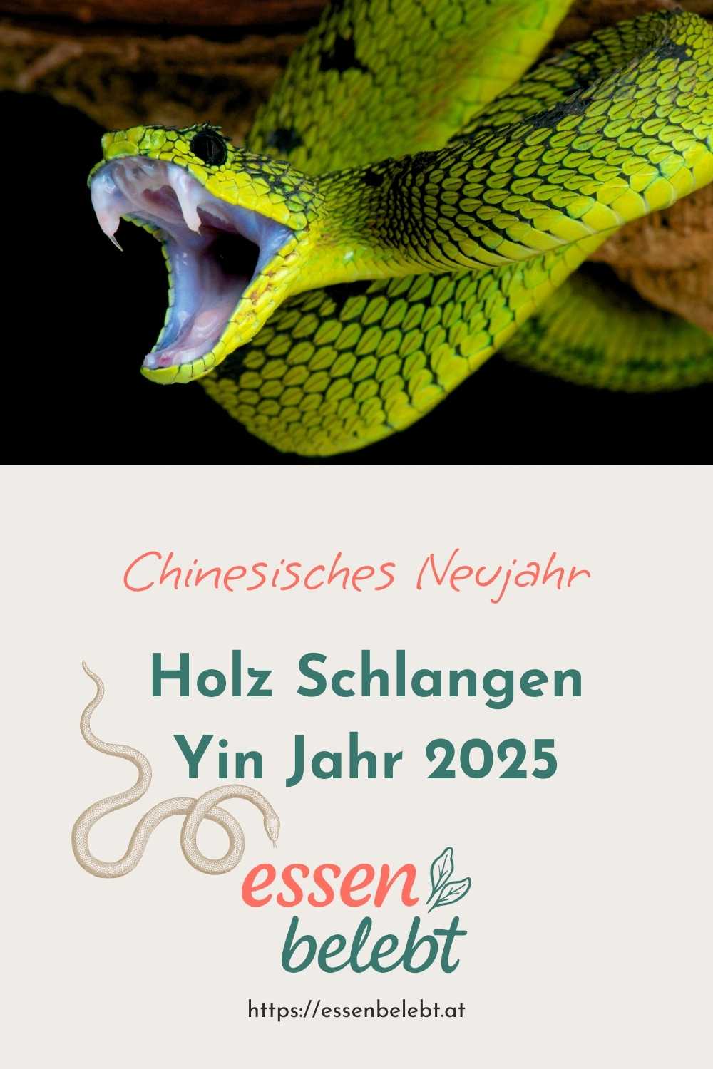 Das Holz Schlangen Yin Jahr – Chinesisches Neujahr 2025