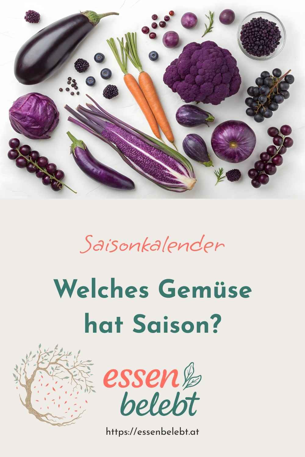 Saisonkalender – Welches Gemüse hat Saison?