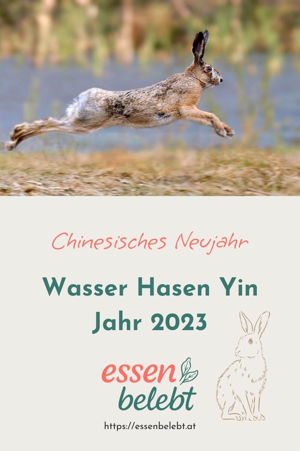Wasser Hasen Yin Jahr – Chinesisches Jahr 2023