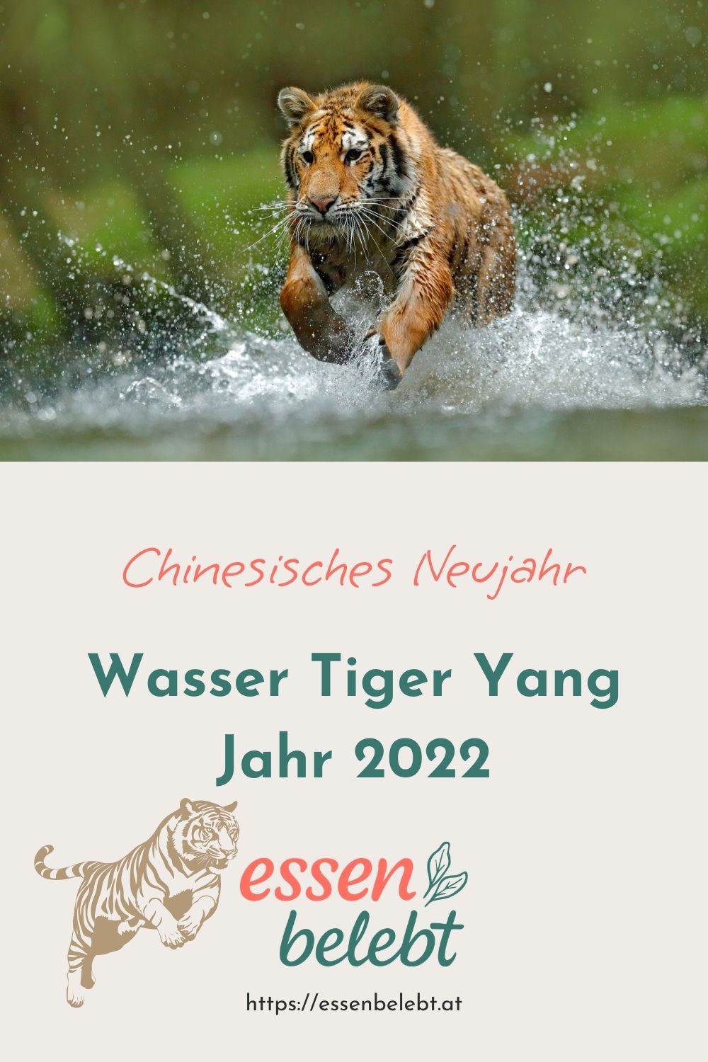 Wasser Tiger Yang Jahr – Chinesisches Jahr 2022