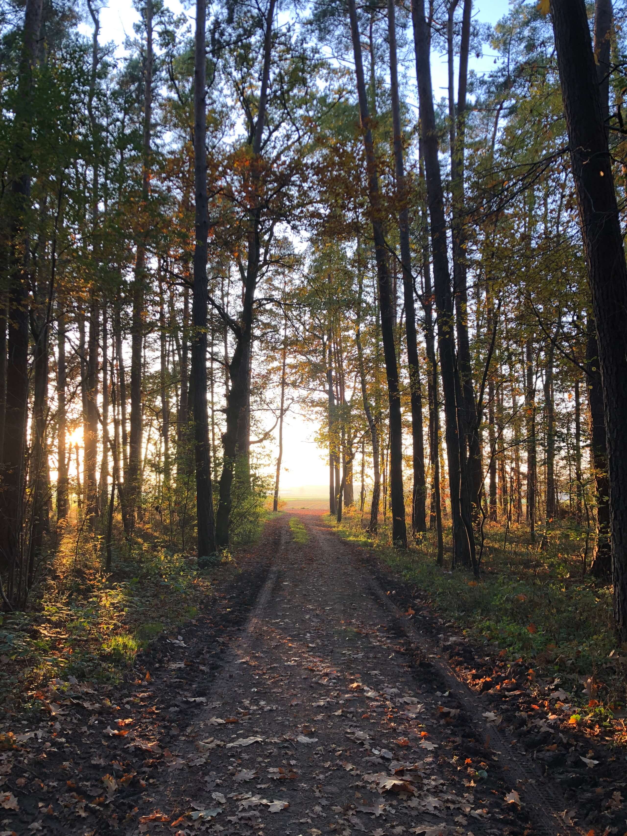 Persönlichkeitsentwicklung: Der Herbst bringt neue Möglichkeiten