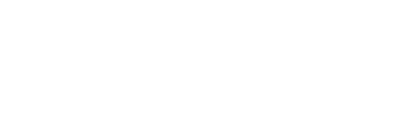 VAERING Logo