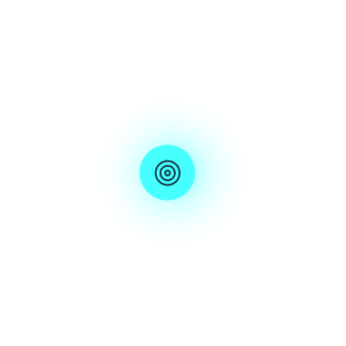 Icon Shield