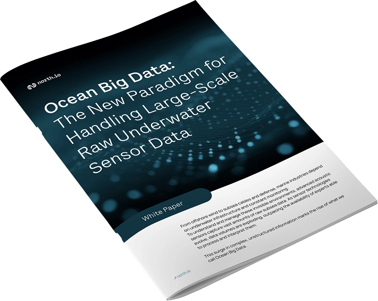 WhitePaper Ocean Big Data