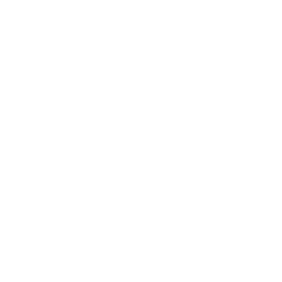 Wave Icon