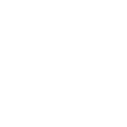 Wave Icon