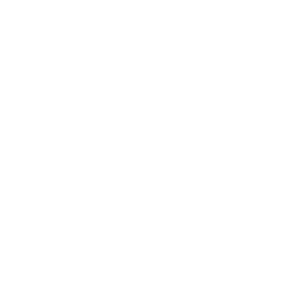 Wave Icon