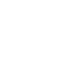 Wave Icon