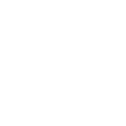 Wave Icon