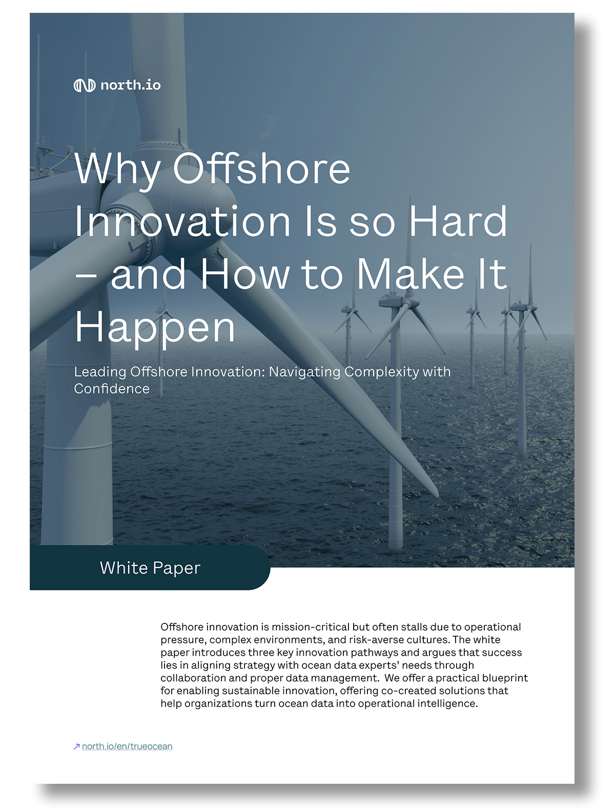 Mockup Offshore Inoovation Whotepaper