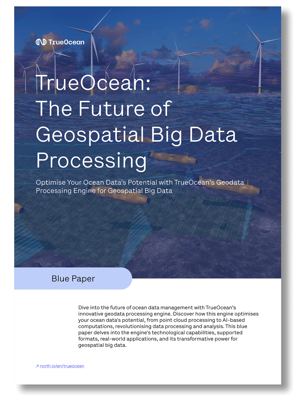 WhitePaper Ocean Big Data