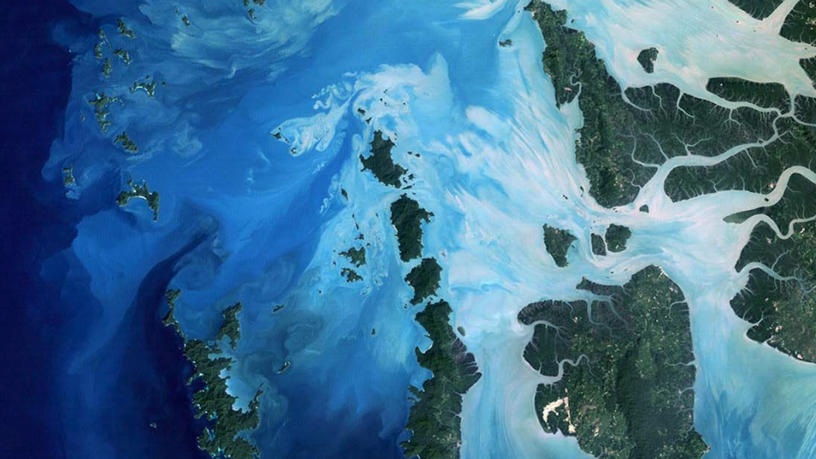 Navigating the Blue Economy with north.io to fight climate change