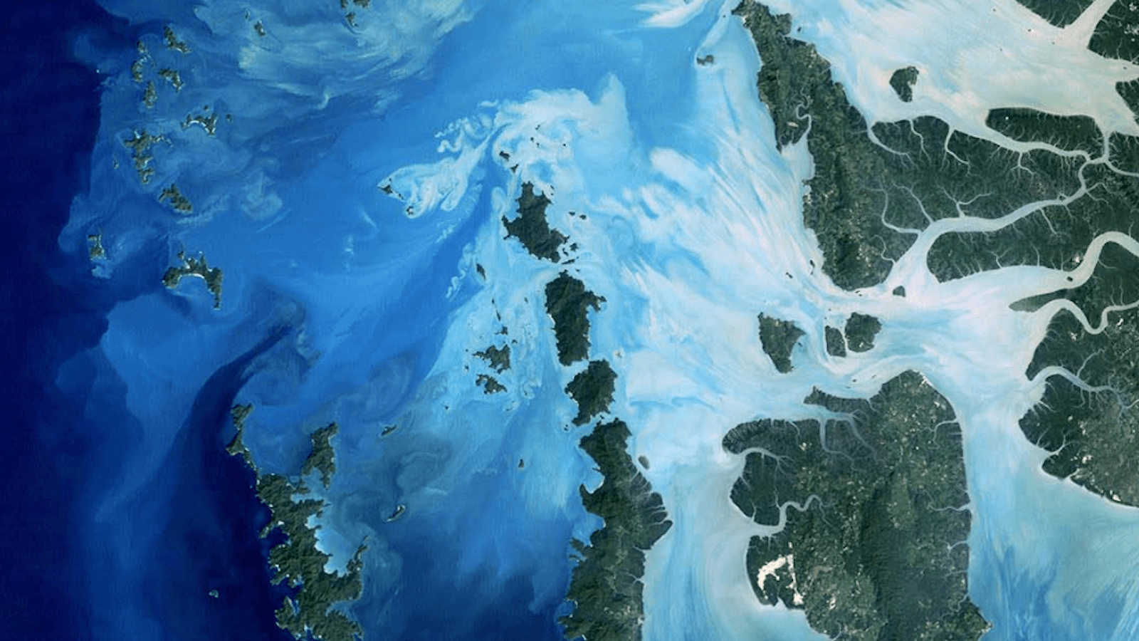 Navigating the Blue Economy with north.io to fight climate change