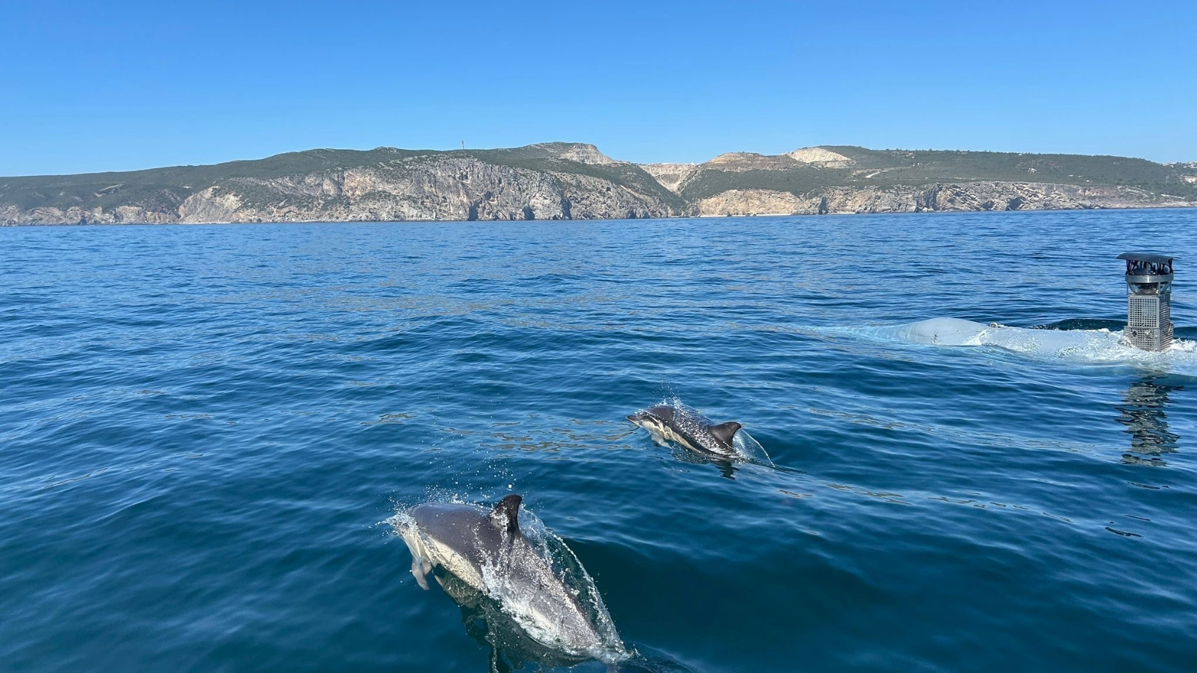 REPMUS 2025: north.io enables almost real-time Naval Data Analysis
