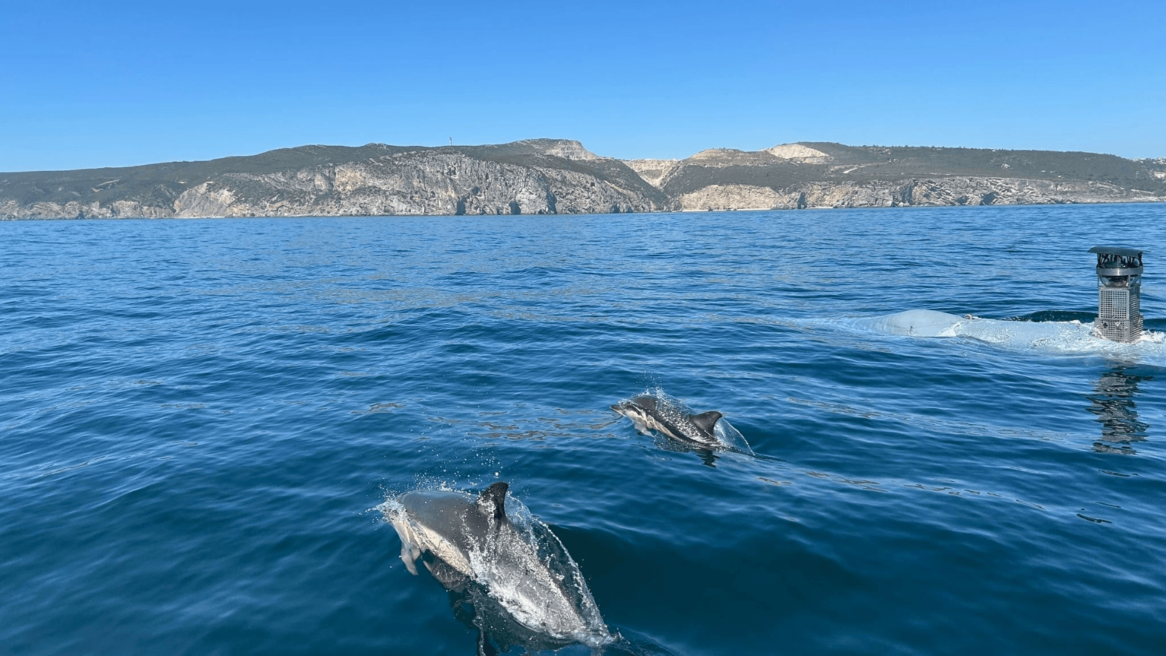 REPMUS 2025: north.io enables almost real-time Naval Data Analysis