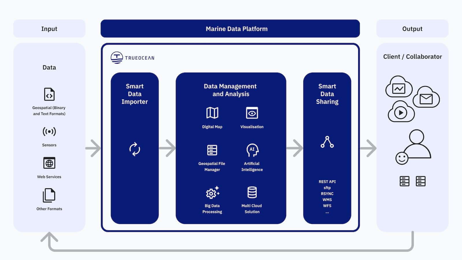 TrueOcean Marine Data Platform Architecture Visual