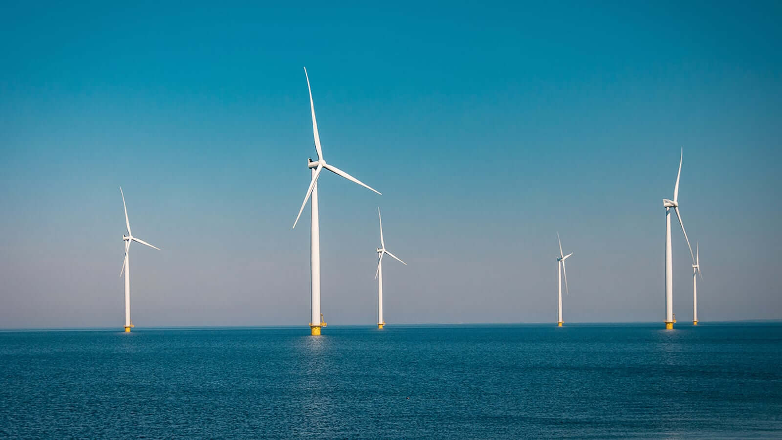 Maritime Geodata: Turning Offshore Survey Data into a Long-Term Asset