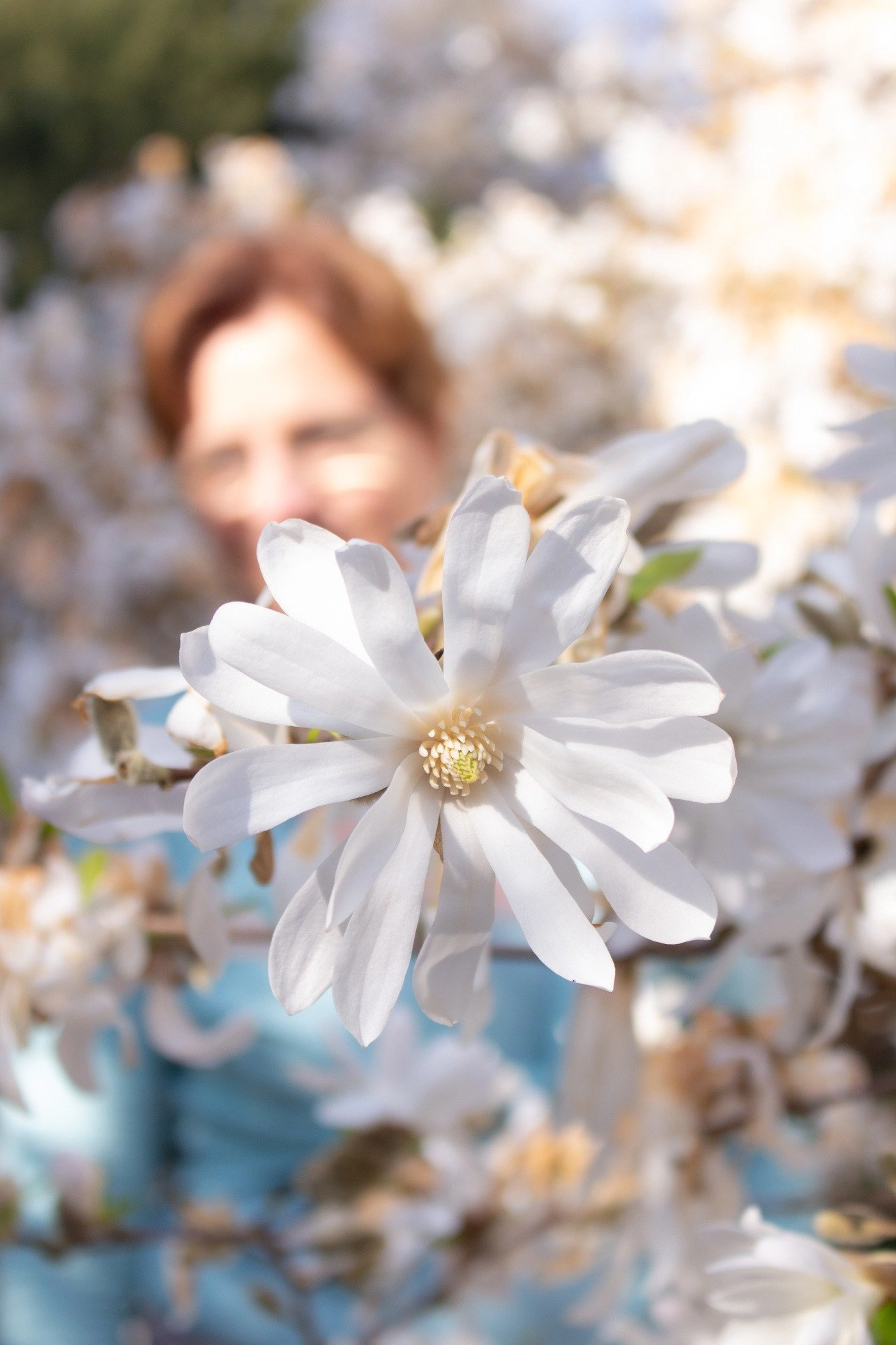 Wie ich dich begleite