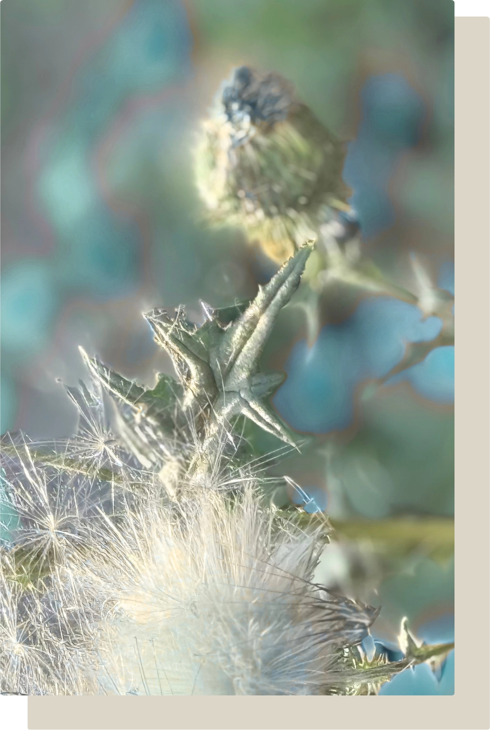 Warum traumsensibel auch im Coaching?