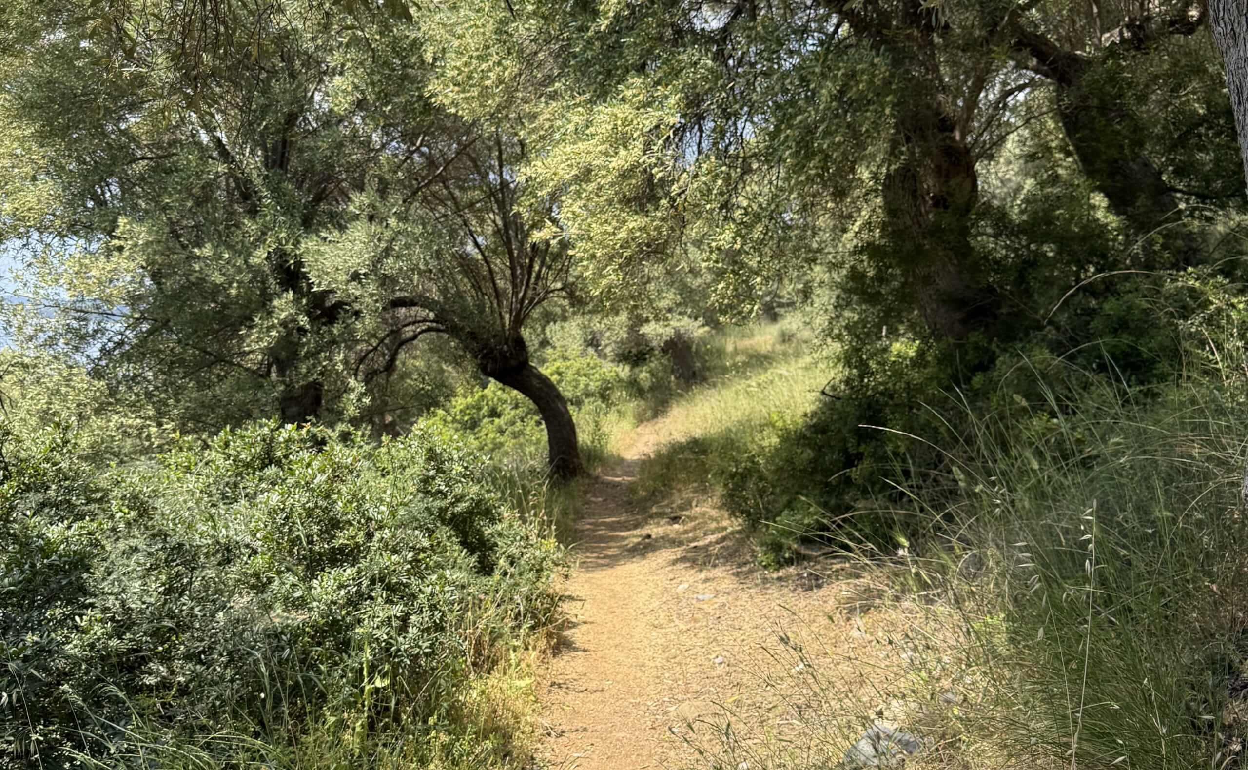 Ein ausgetretener Wanderpfad in Griechenland