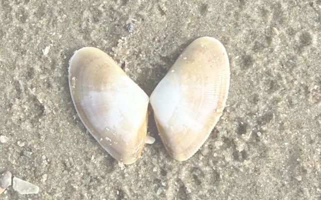 12- von-12 im März 2026: Alles im Wandel? Eine Fortbildung auf Langeoog