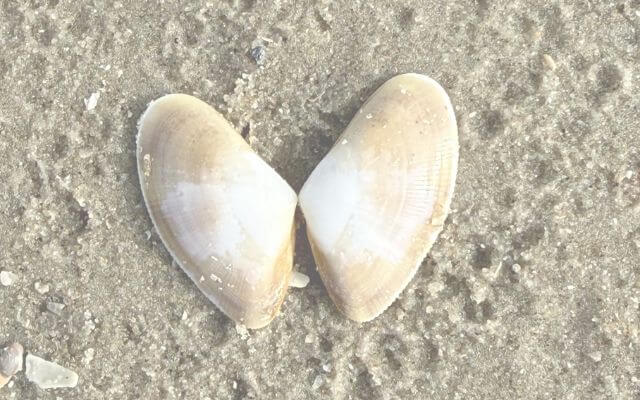 12- von-12 im März 2026: Alles im Wandel? Eine Fortbildung auf Langeoog