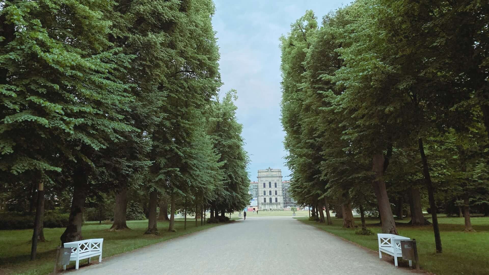 Die Lindenallee Ludwigslust