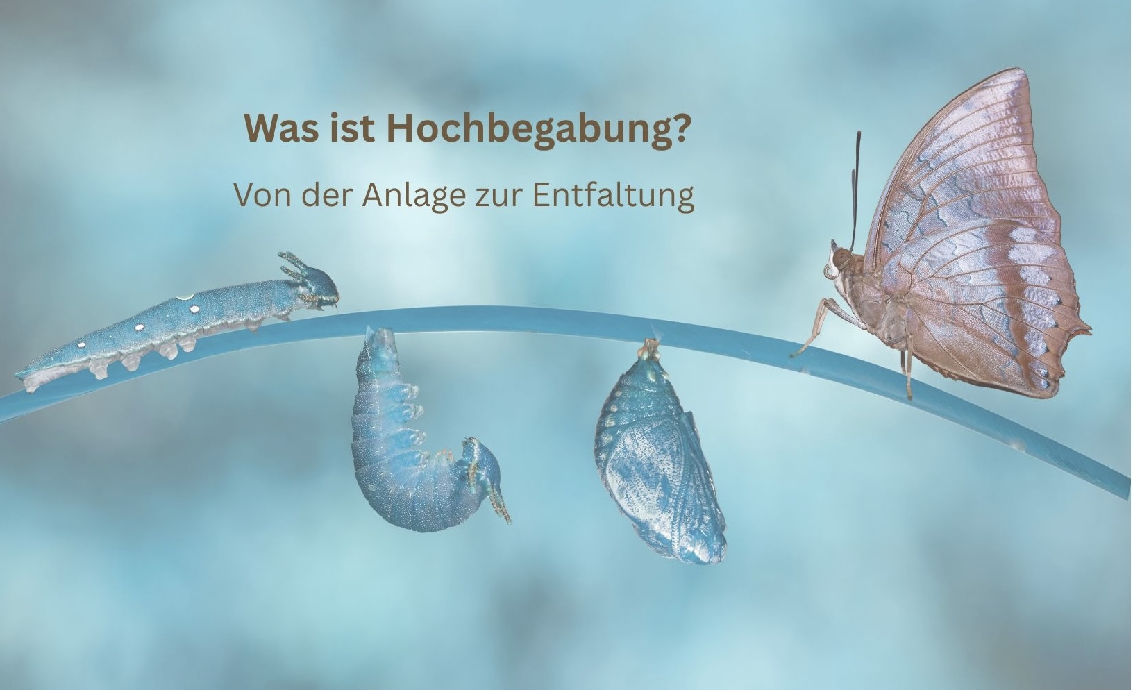 Was ist Hochbegabung? 