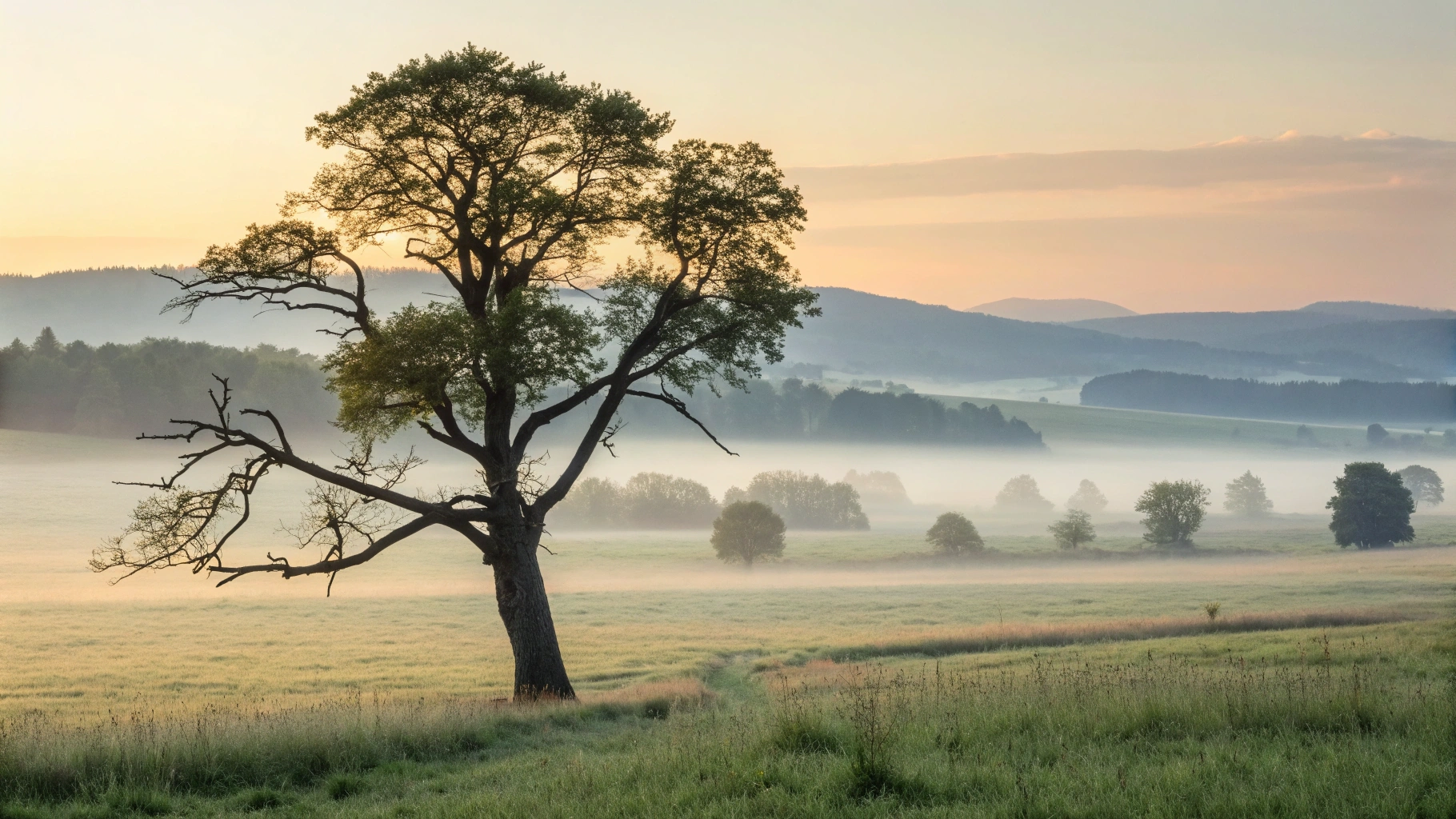 Erschöpfung und Überlastung