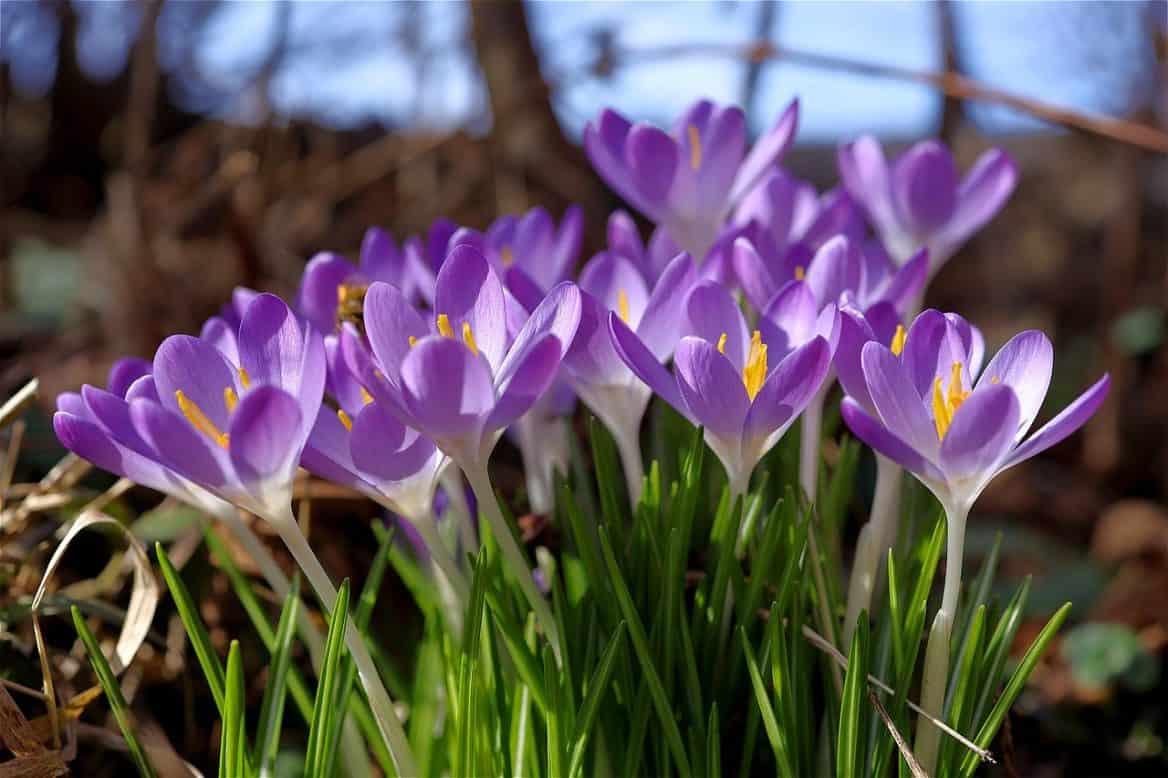 Frühlingserwachen und Neuorientierung