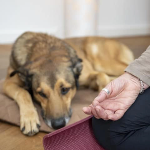 Workshops & Seminare