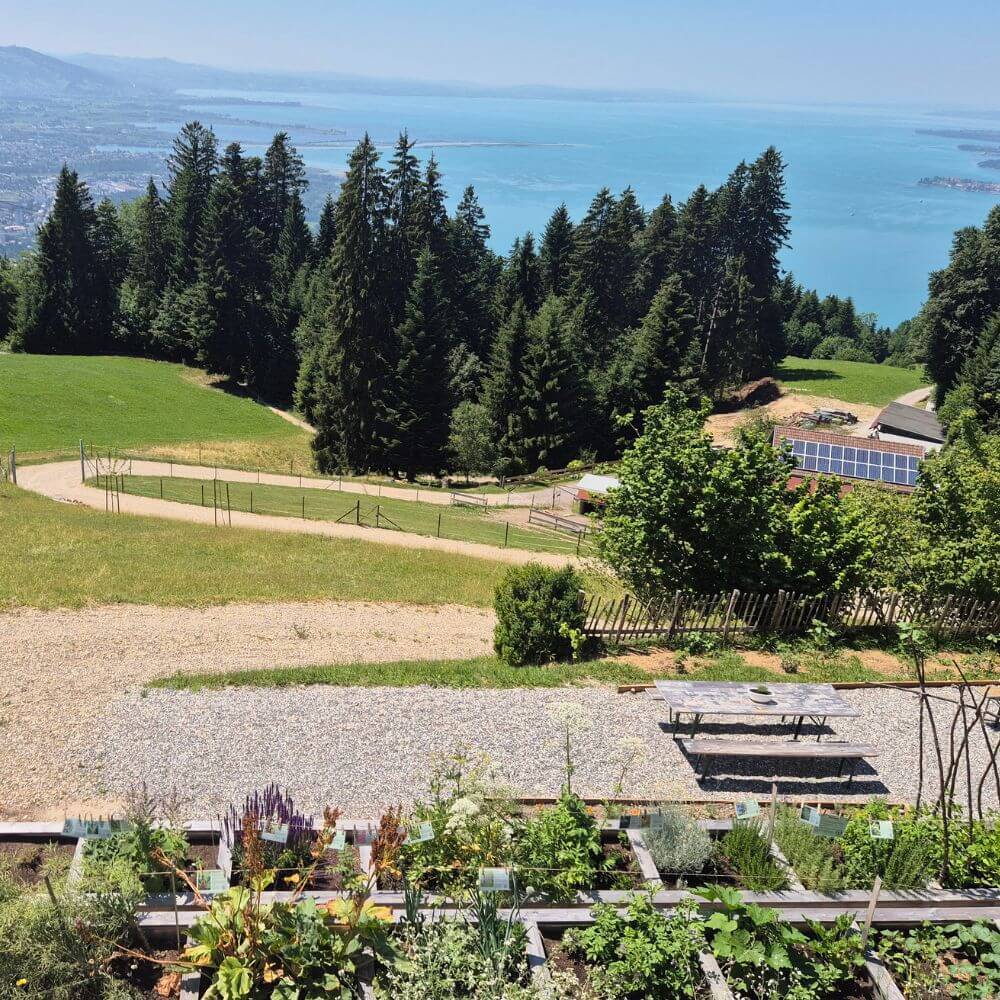 Foto der Arche Bodensee mit Blick auf den Bodensee