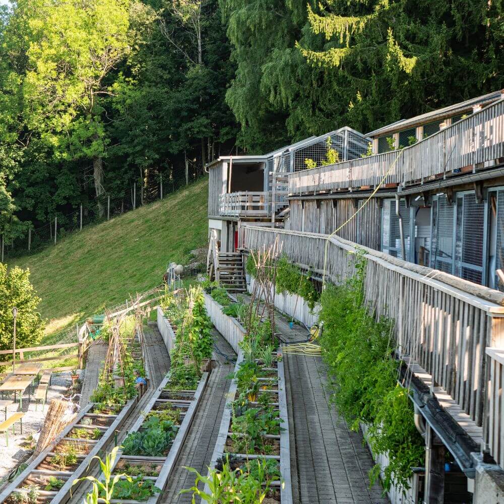 Foto mit Blick auf die Beete der Arche Bodensee