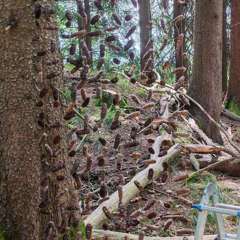Foto des Tannenzapfenvorhangs aus dem Sagenwald